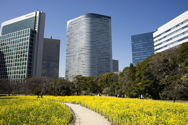 Read more about the article The Hamarikyu Detached Palace Gardens