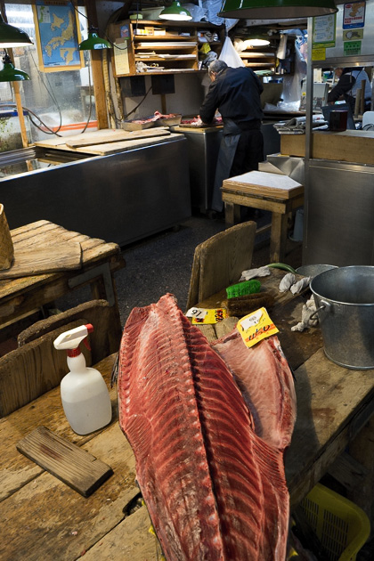 Read more about the article The Tsukiji Fish Market