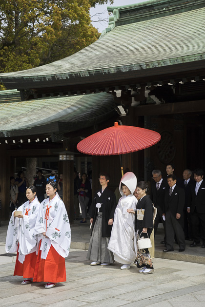 Read more about the article The Meiji Shrine