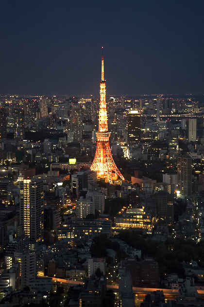 Read more about the article The View from Roppongi Hills