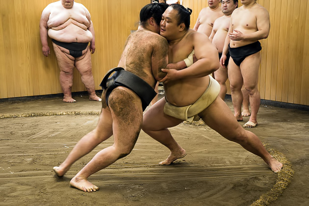Read more about the article A Sumo Training Session