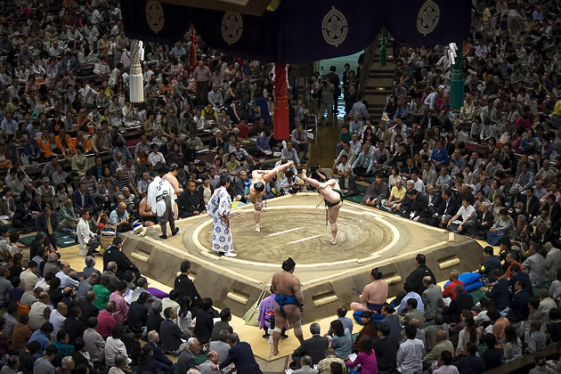 Read more about the article The Summer Sumo Tournament