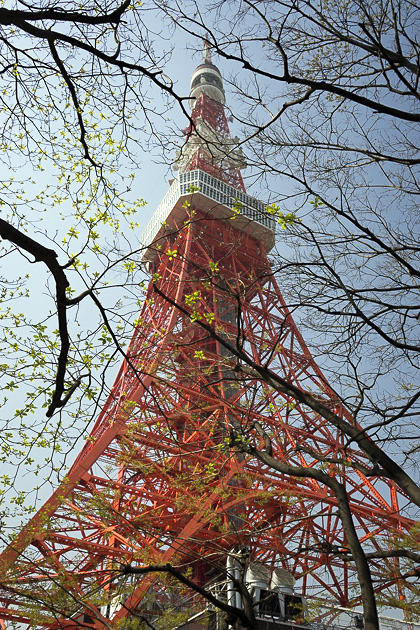 Read more about the article The Tokyo Tower and the World Trade Center